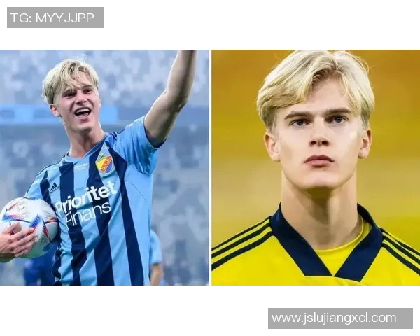 回顾1995年瑞典足球明星的辉煌历程与成就分析 回顾1995年瑞典足球明星的辉煌历程与成就分析